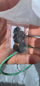 Maria del Pilar Chlopas review photo