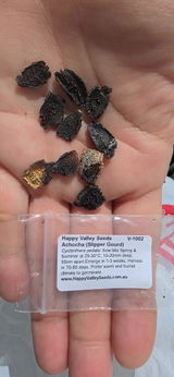 Maria del Pilar Chlopas review photo