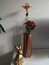 Coretta review photo