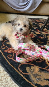 Etsy customer review photo