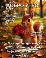 Стефка Димитрова review photo