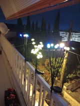 ΖΩΗ ΦΑΡΑΝΤΖΟΥ review photo