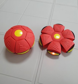 Petra review photo