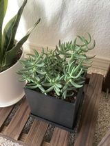 Nina S review photo