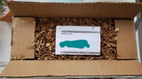 Ana C. review photo