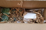 Ana C. review photo