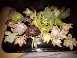 Glenys O. review photo