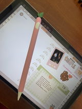 Romin review photo