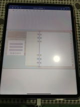 P.M. review photo