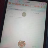 Mer review photo