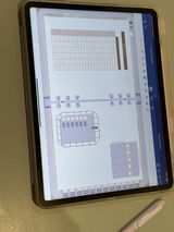 A.P. review photo