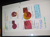 P.C. review photo