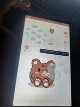 irina review photo
