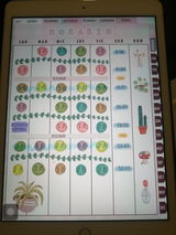 Perla review photo