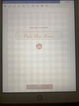 Paula review photo