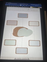 Ross review photo