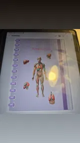 User picture