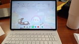 Alejandra review photo