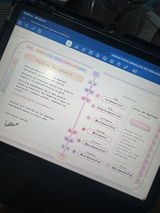 Katherin review photo