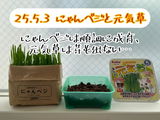 匿名 review photo