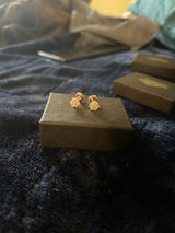 Leo review photo