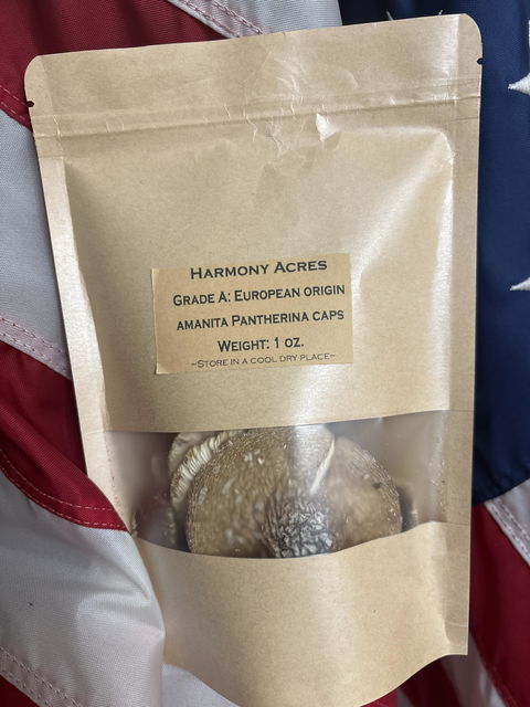 Grade A: Amanita pantherina caps, dried- European origin