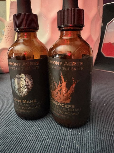 Cordyceps Tincture