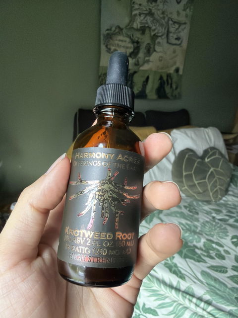 Japanese Knotweed Root Tincture