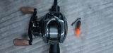 Perch Paule review photo
