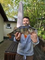 Perch Paule review photo