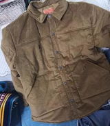 Alexander Johnson review photo