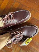 Stephan Montana review photo