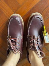 Stephan Montana review photo