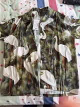 Alfy Nolde review photo