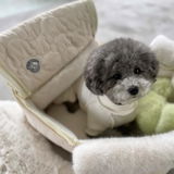 CHOCO review photo