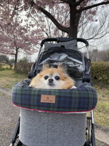 愛 寺田 review photo