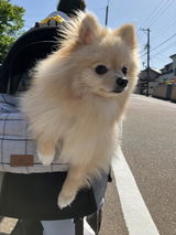 ゆき 川久保 review photo