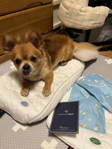 ゆかぽぽ review photo