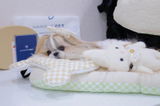 吉田 ゆうこ review photo