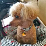 洋子 佐藤 review photo