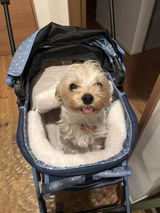 ふわママ review photo