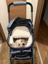 ふわママ review photo