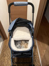 ふわママ review photo