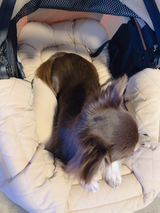 カラン review photo