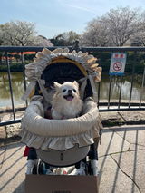 匿名 review photo