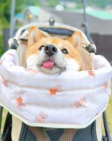 とらのもんきち review photo
