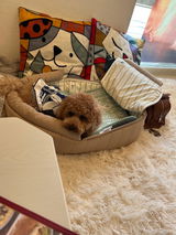 pedi＆sophie review photo