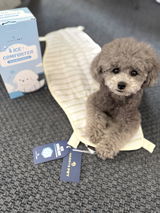 CHOCO review photo