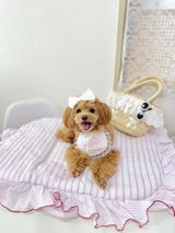 ぷぷ review photo