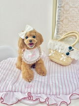 ぷぷ review photo